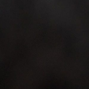 Meet your Posher, Regen